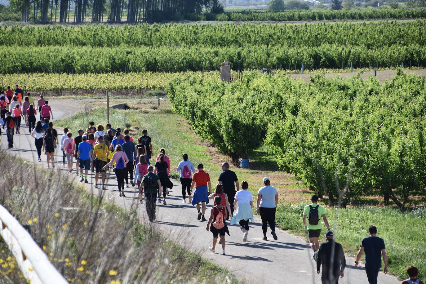 Marcha &#039;Entre sotos&#039; en Rincón de Soto