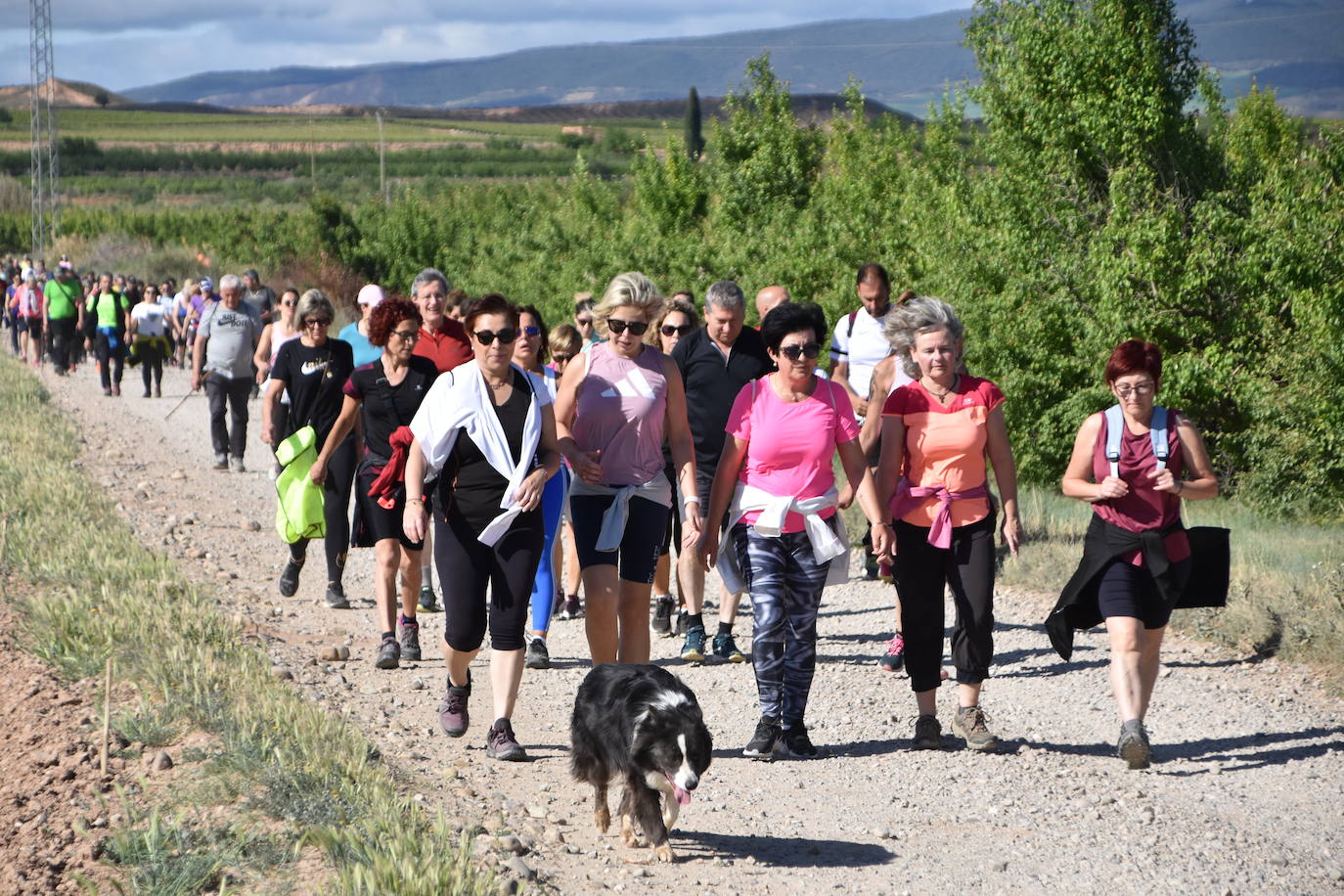 Marcha &#039;Entre sotos&#039; en Rincón de Soto