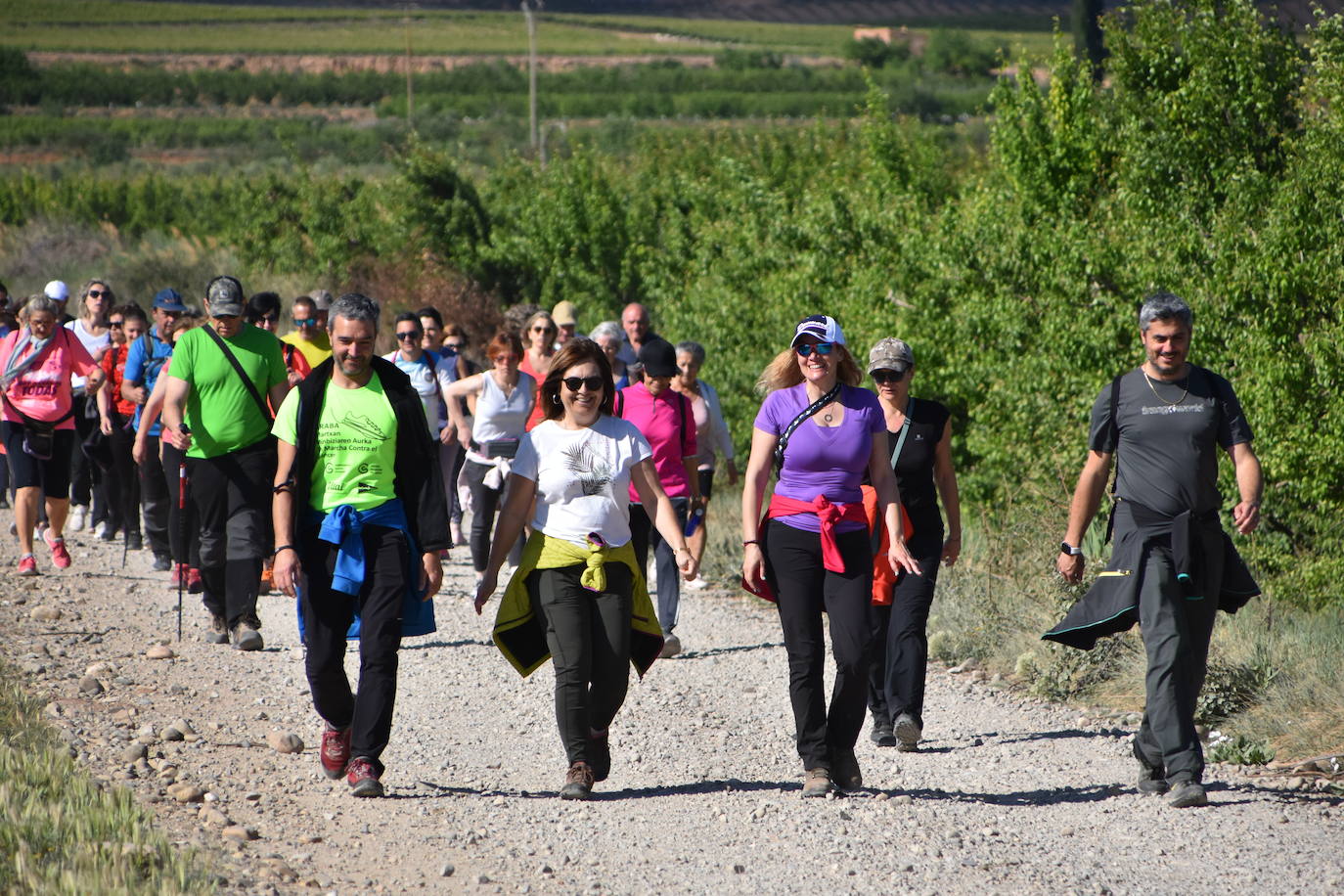 Marcha &#039;Entre sotos&#039; en Rincón de Soto