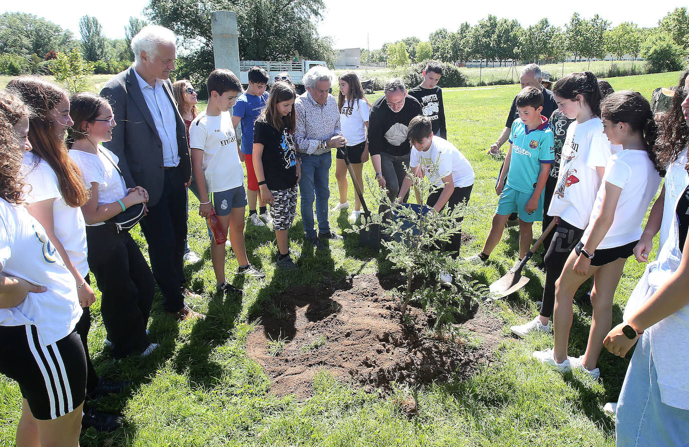 Alumnos del colegio 7 Infantes plantan doce árboles en el Bosque de la Danza