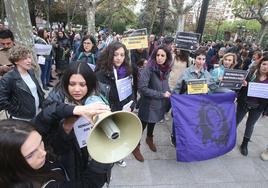 Mujeres durante la última concentración feminista celebrada en La Rioja.