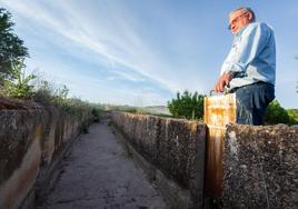 José María Daroca observa una acequia de riego del río Antiguo (Entrena) seca junto a uno de sus perales.