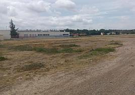 Terrenos en los que se ha proyectado construir el nuevo colegio de Agoncillo.