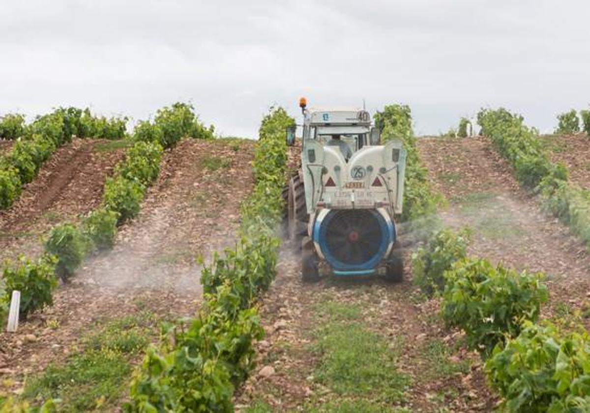 El campo está revuelto