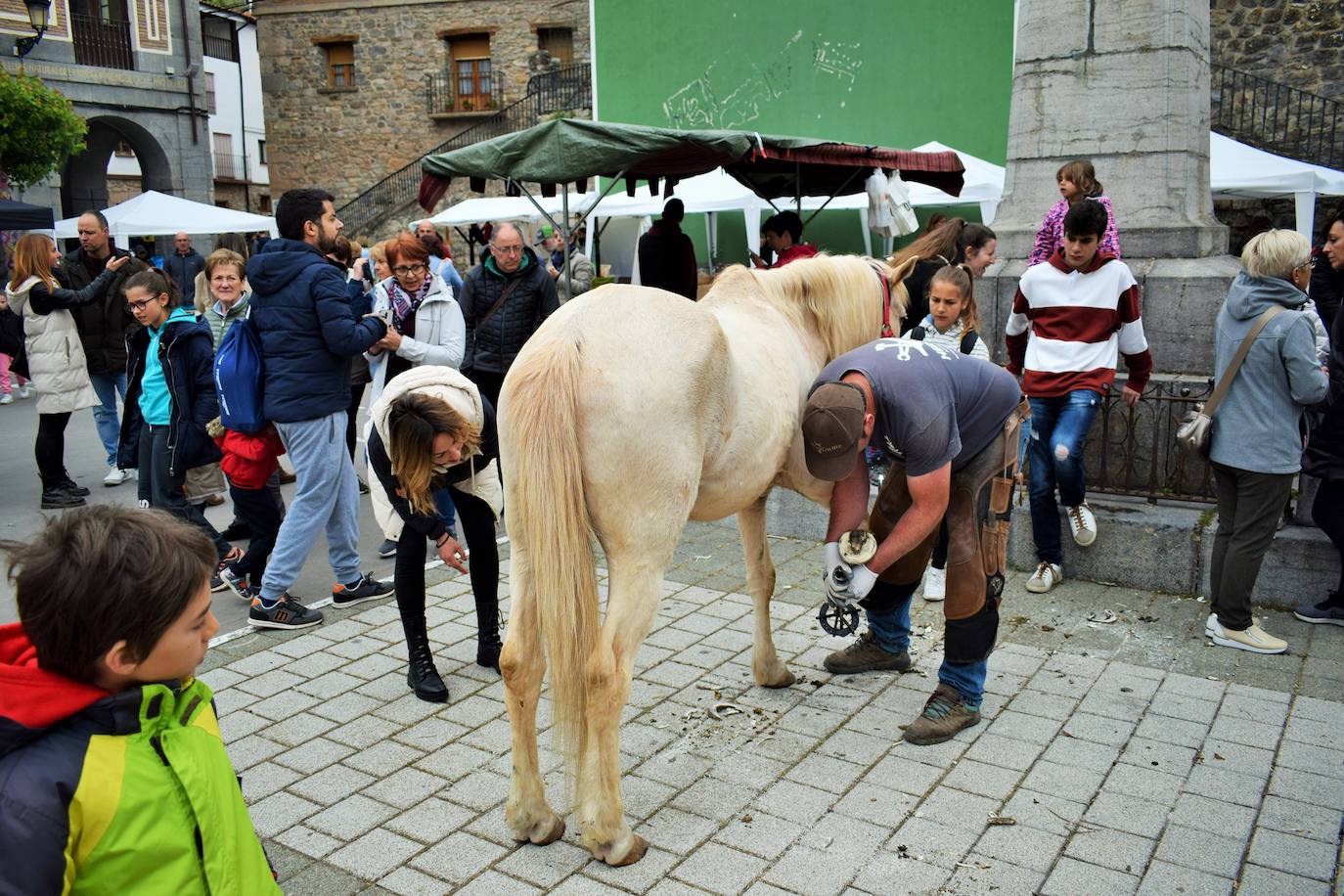 VI Feria del Ganado Selecto del Camero Viejo