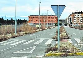 Calle Río Duero del barrio Entre Ríos de Lardero, vista desde la zona comercial cerrada al tráfico.