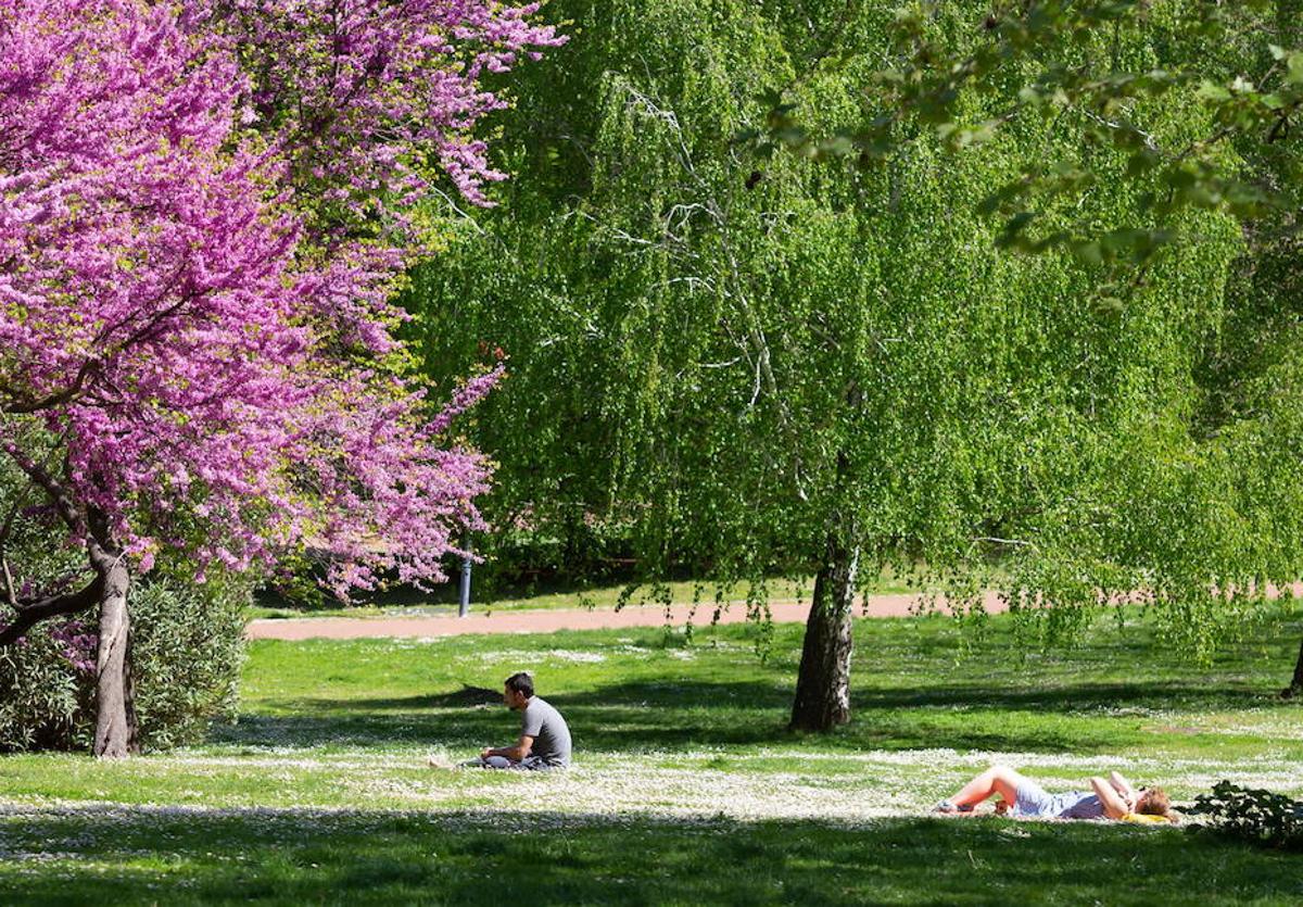 Imagen del Parque del Ebro