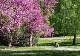 Imagen del Parque del Ebro