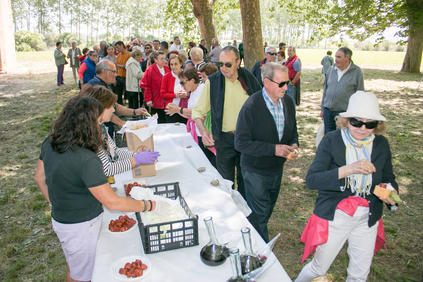Romería a la ermita de Las Abejas