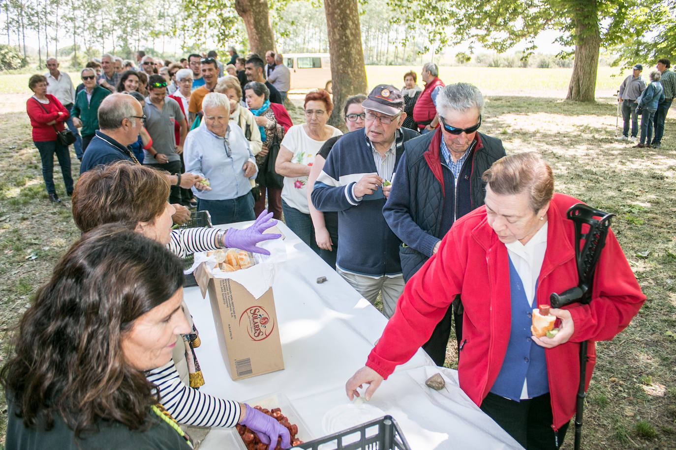 Romería a la ermita de Las Abejas