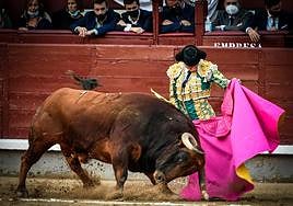 Urdiales en una verónica a un toro en Madrid en una feria pasada.