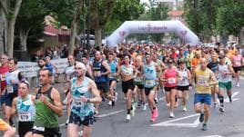Las imágenes de la Media Maratón de La Rioja