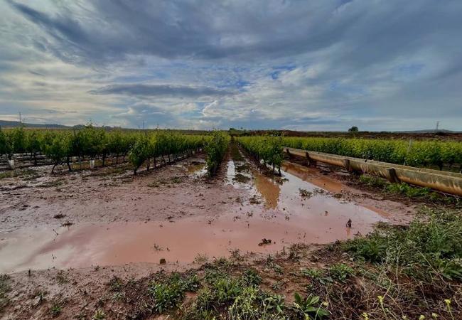 Tarde de lluvias en La Rioja Alta. Aemet advierte de la posibilidad de granizo en las próximas horas y mantiene el aviso amarillo por tormentas.