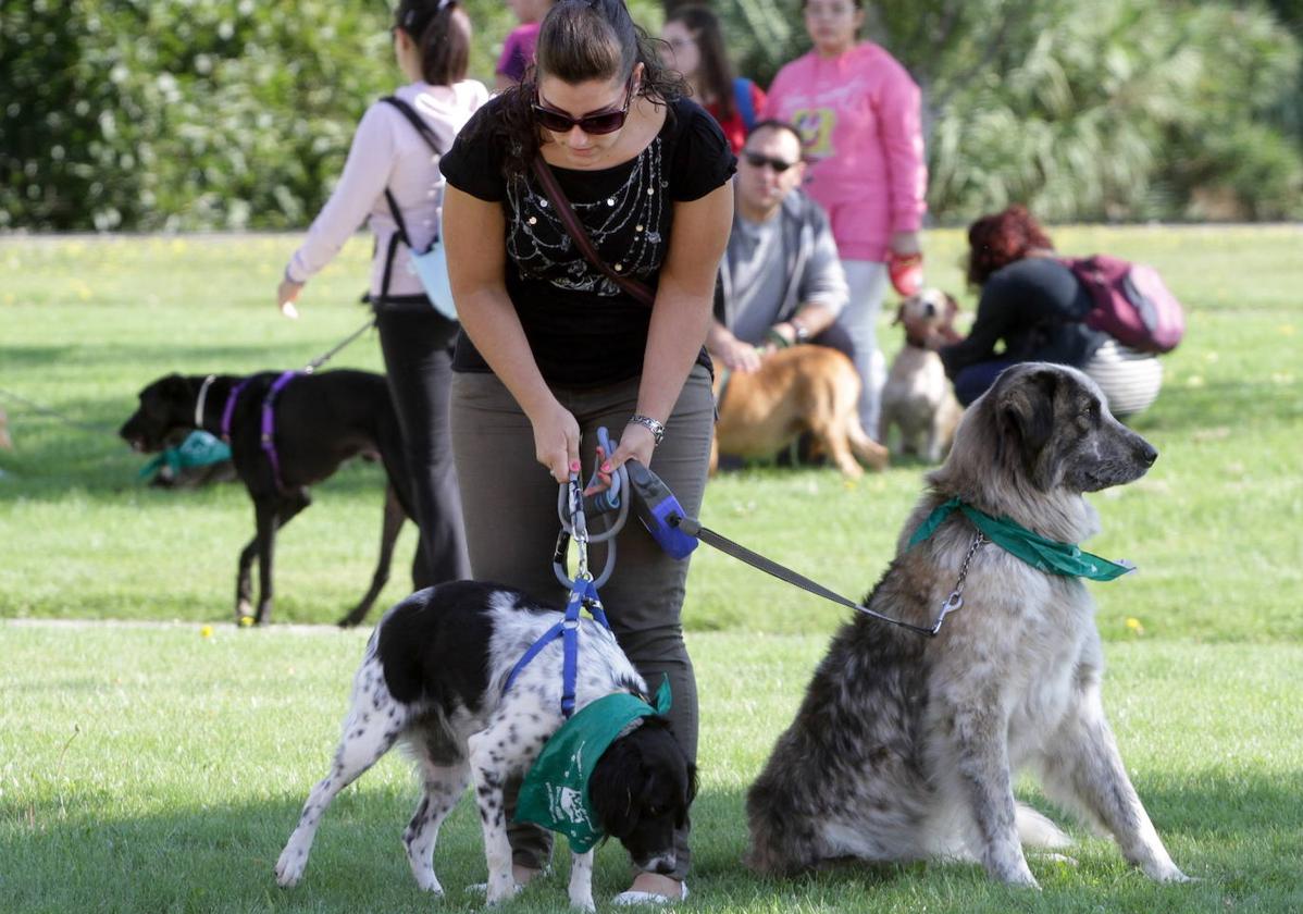 Trece municipios riojanos tienen más perros que habitantes