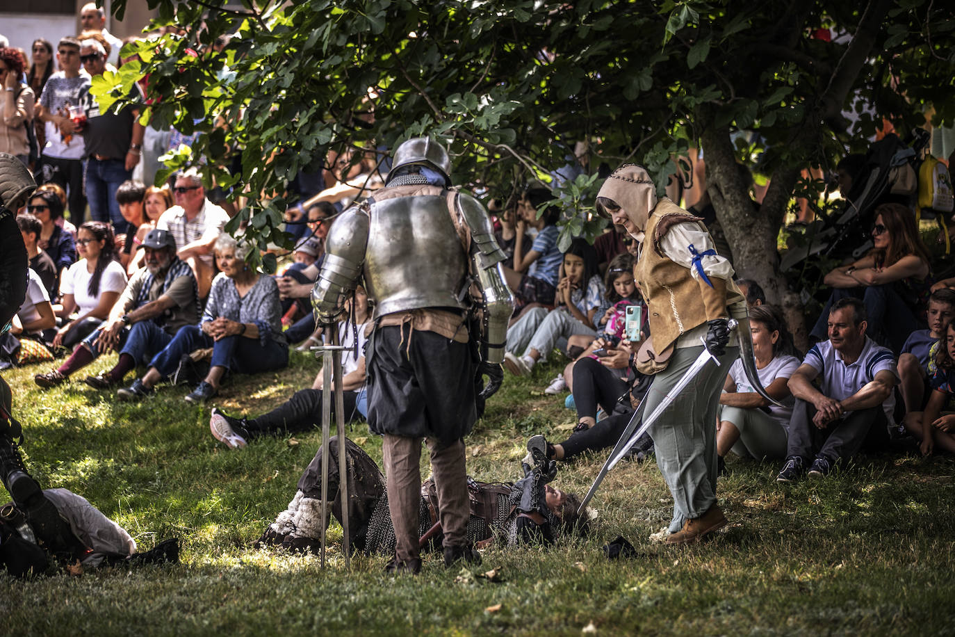 Recreación del Asedio a Logroño