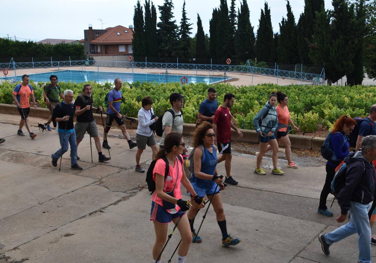 Una marcha entre viñedos y carrascas por Tudelilla