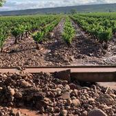 Preocupación en el sector agrario por los daños de las tormentas en el campo y en los accesos