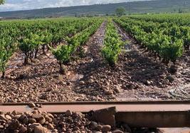 Daños en accesos a fincas y tuberías en la comarca de Nájera.