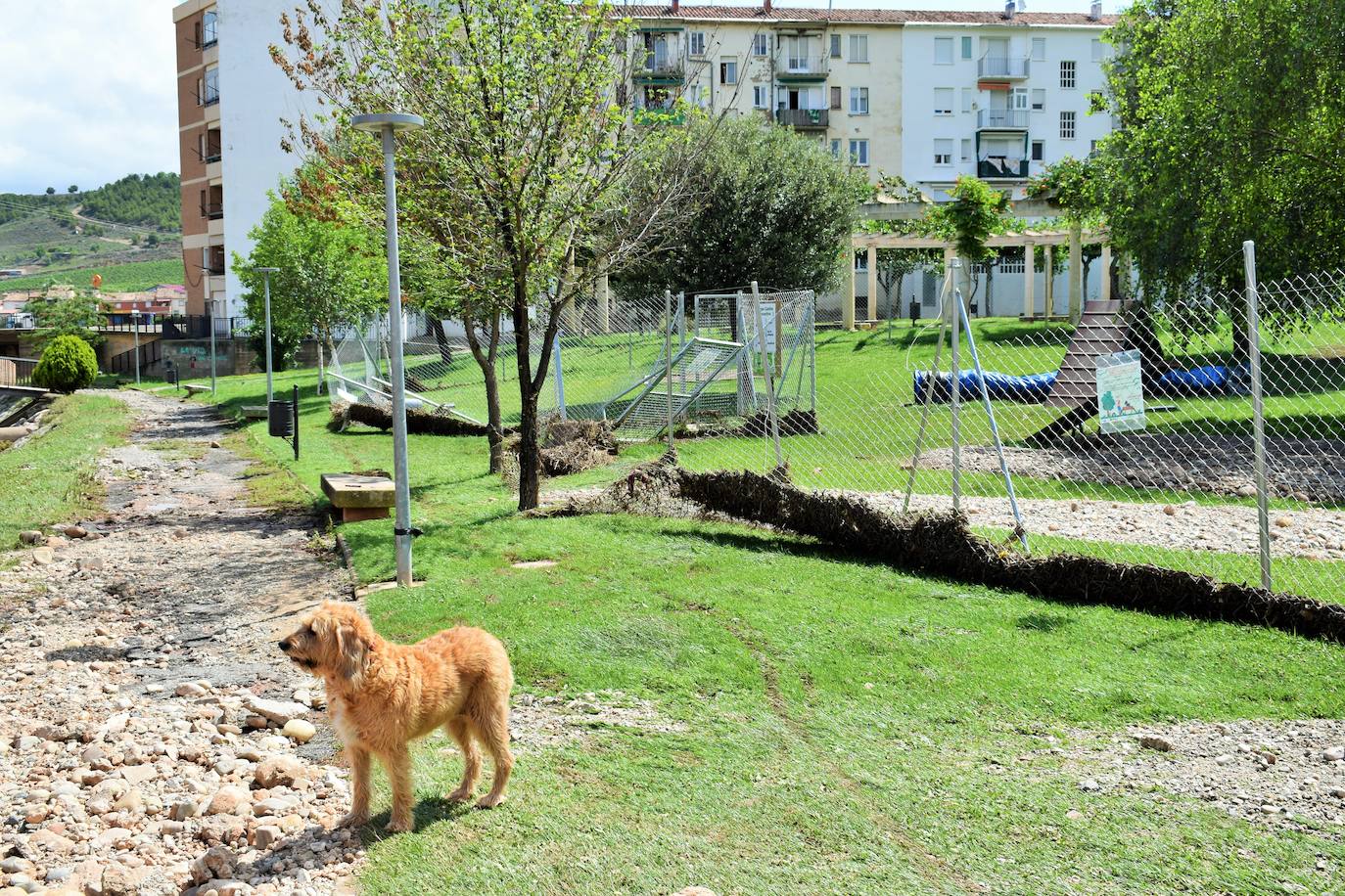 Las inundaciones afectaron a las calles de Fuenmayor