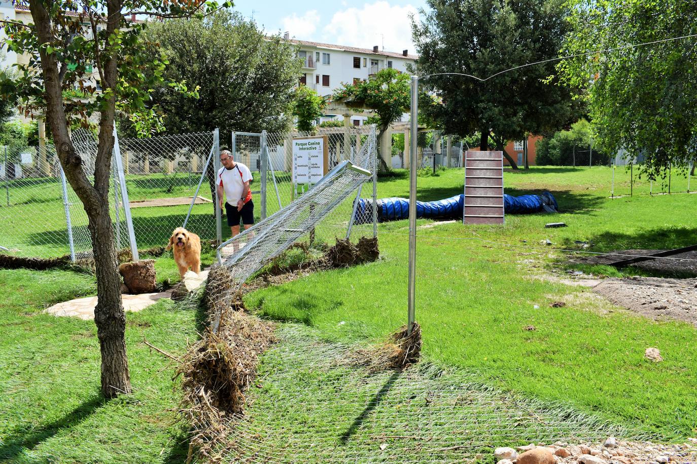 Las inundaciones afectaron a las calles de Fuenmayor