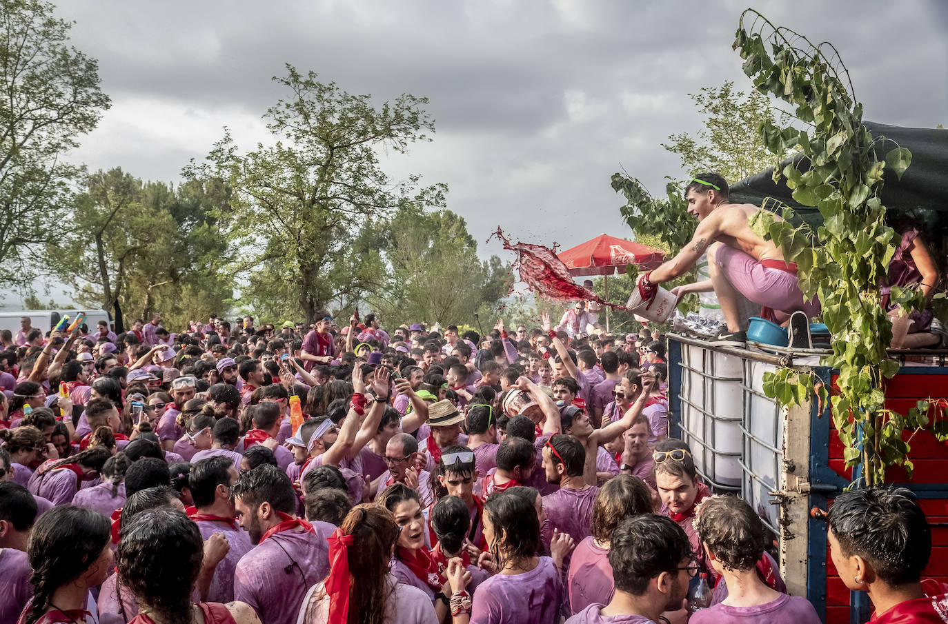 La Batalla del Vino, en imágenes