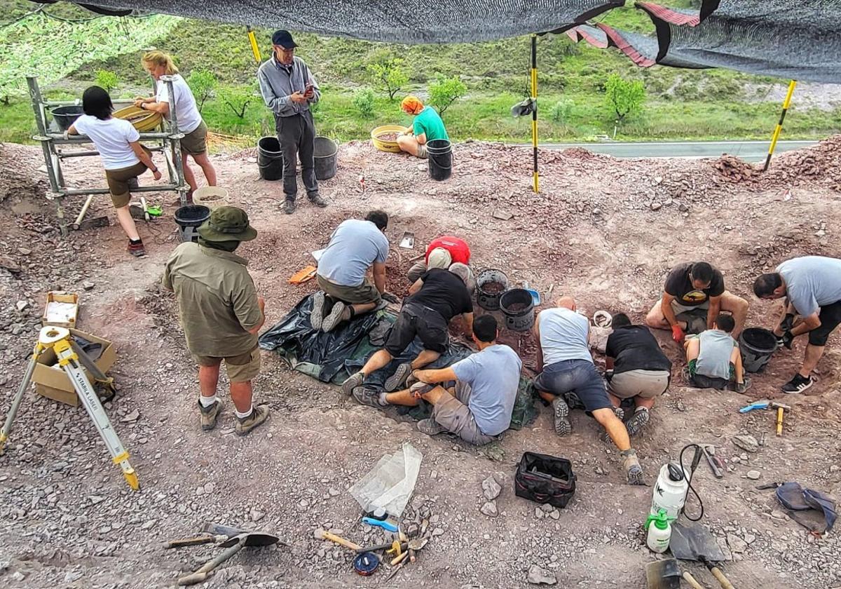 Zona de excavación del yacimiento Virgen delVillar-2 en Igea.