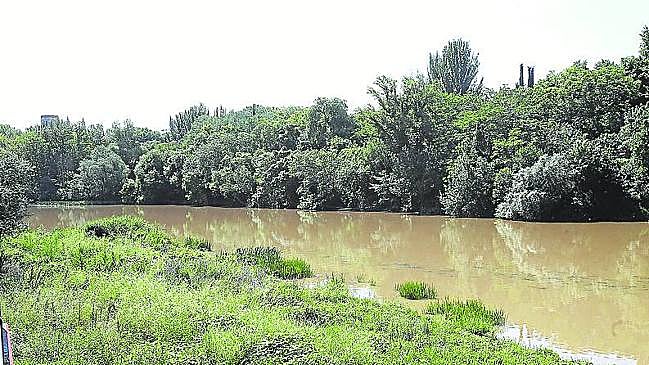 Imagen después - Playa y piscinas junto al Ebro
