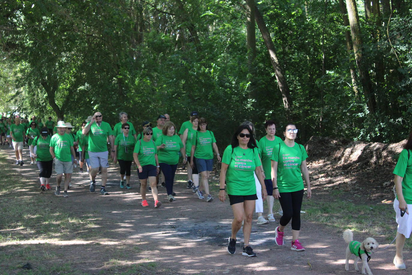 La VI Marcha contra el cáncer reúne a más de 1.200 personas en Nájera