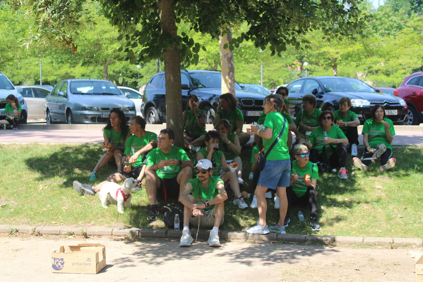 La VI Marcha contra el cáncer reúne a más de 1.200 personas en Nájera