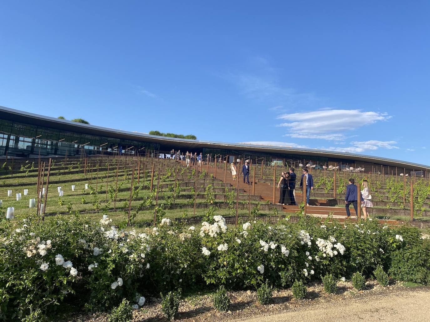 World&#039;s Best Vineyards 2023: Marqués de Riscal, segundo mejor destino enoturístico del mundo