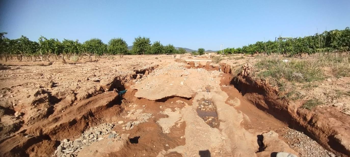Estado en el que ha quedado un camino de acceso a viñedos en Aldeanueva