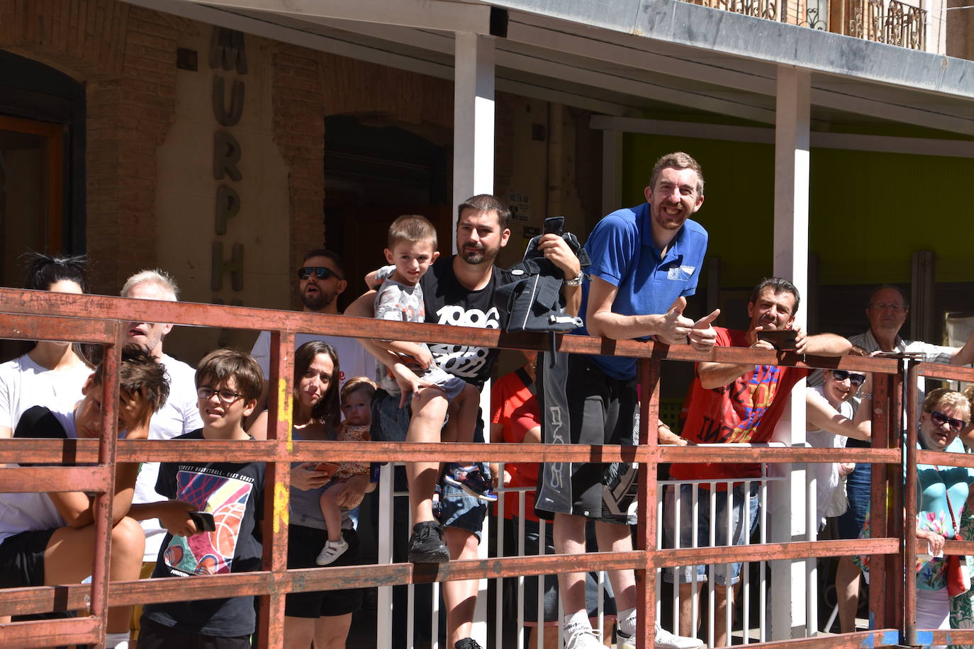 Vacas y paella en el último día de fiestas en Cervera