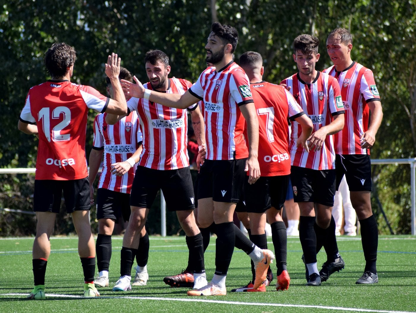 Los jugadores de la UD Logroñés celebran uno de sus cinco goles ante el Berceo.