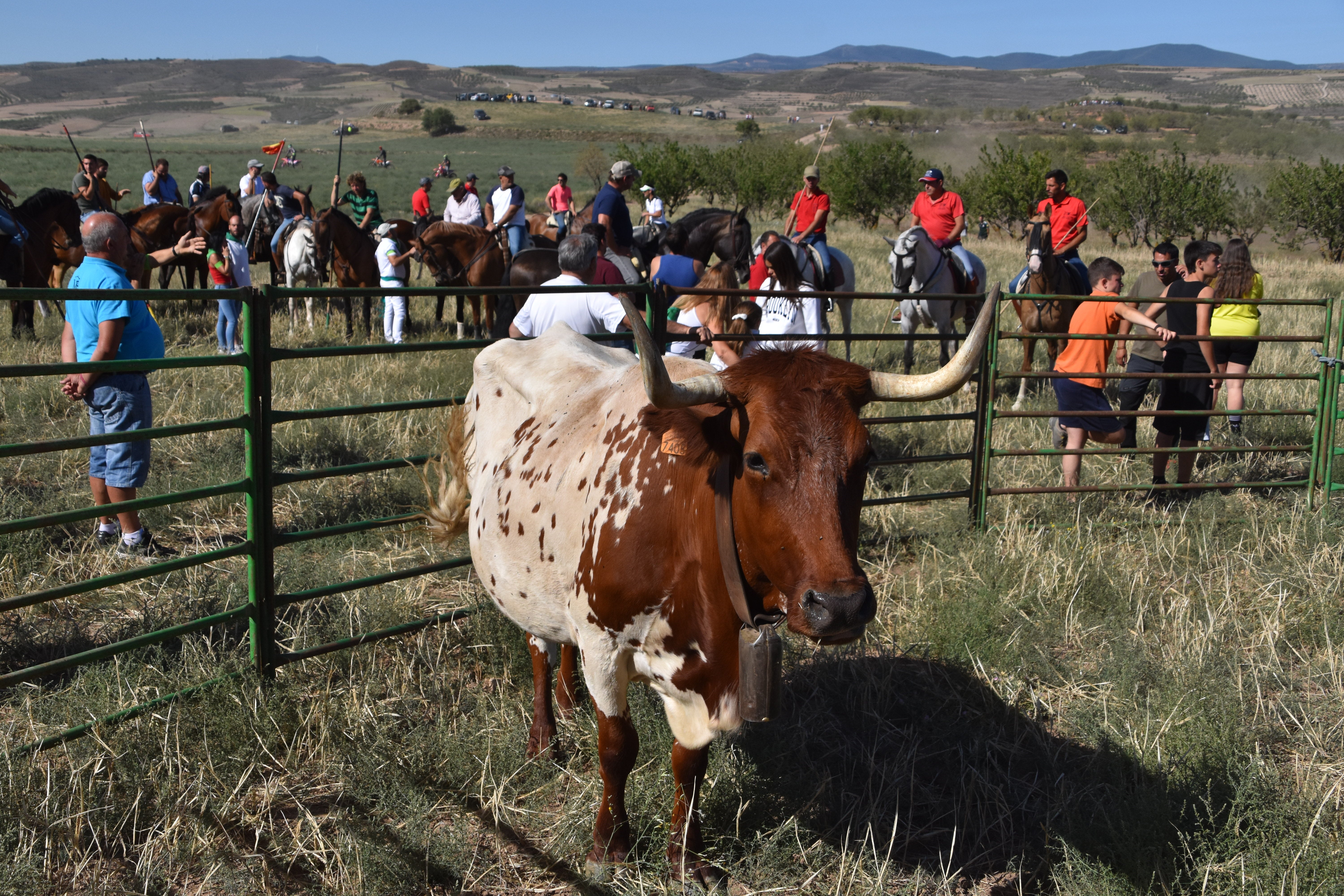 Evento taurino en Valverde