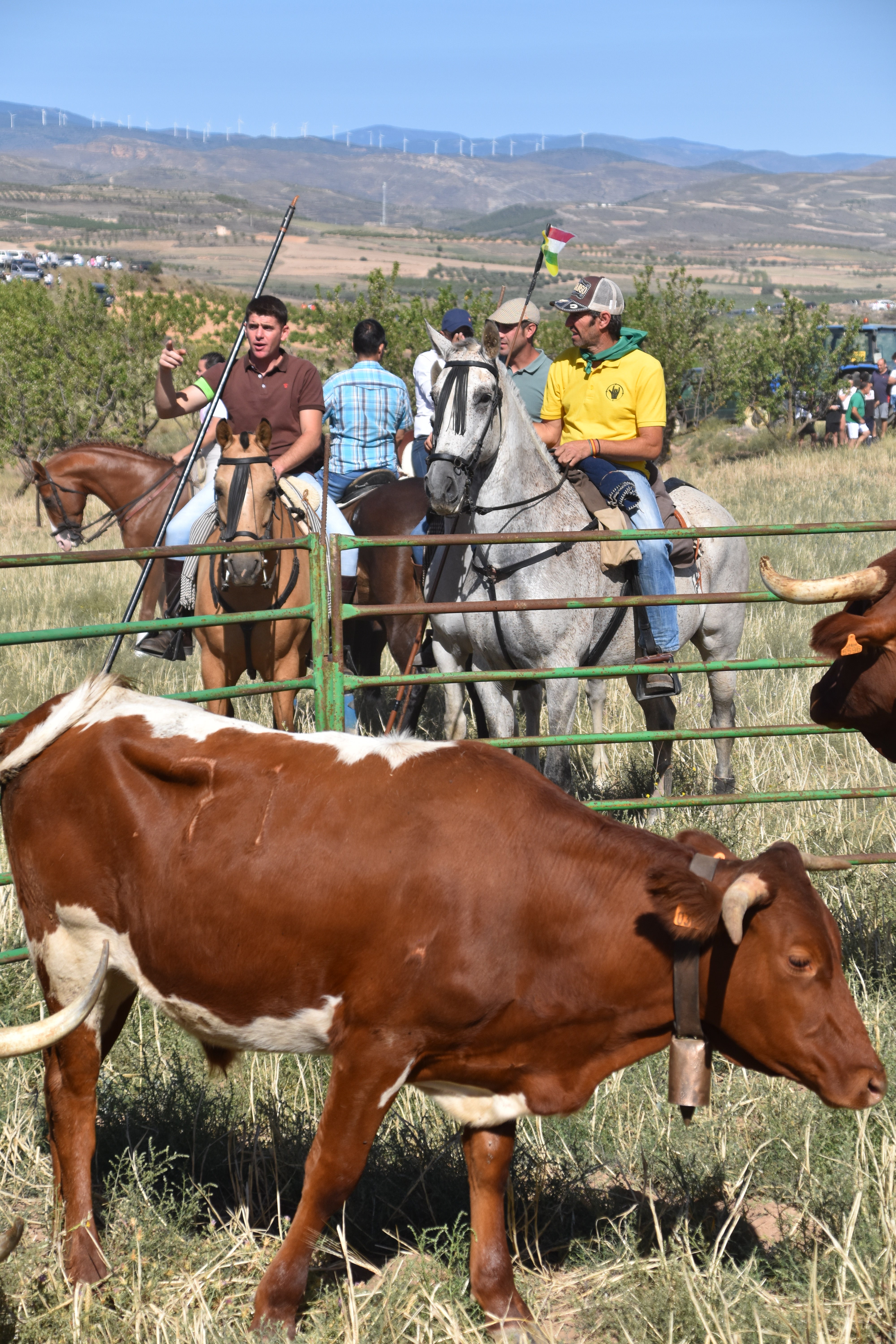 Evento taurino en Valverde