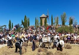 Fiesta de la molienda en Ocón