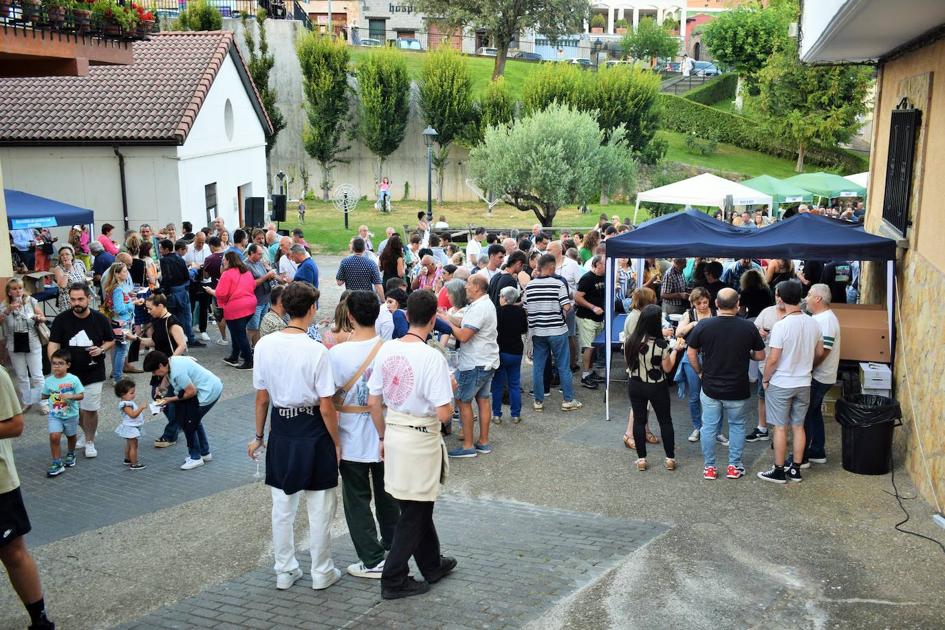 Torrecilla en Cameros celebra la I Fiesta del Vino de Rioja Solidario