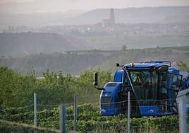 Las primeras imágenes de la vendimia en Aldeanueva