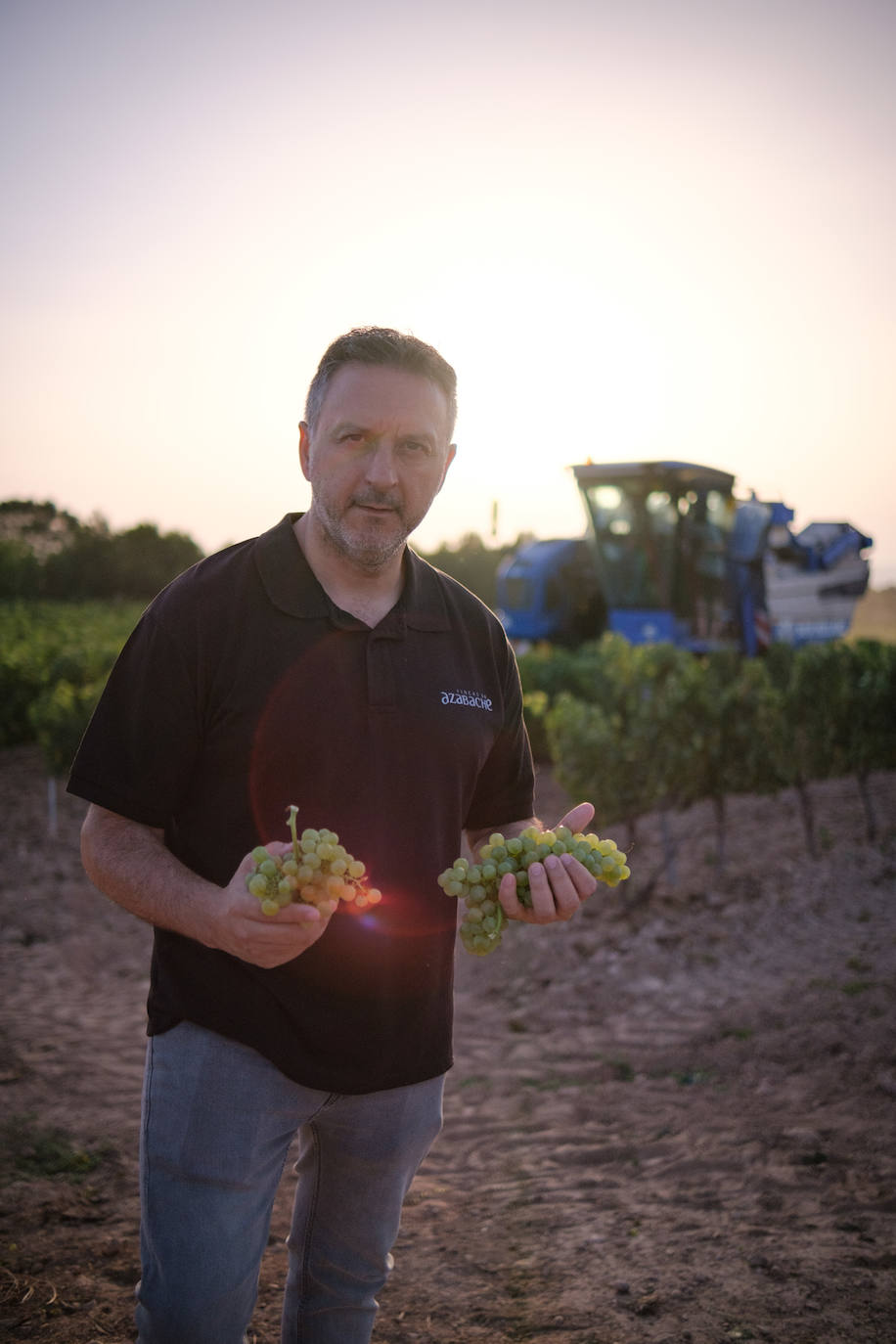 Las primeras imágenes de la vendimia en Aldeanueva
