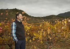 Mendoza mira con detenimiento el viñedo en San Vicente, uno de los secretos de su éxito.