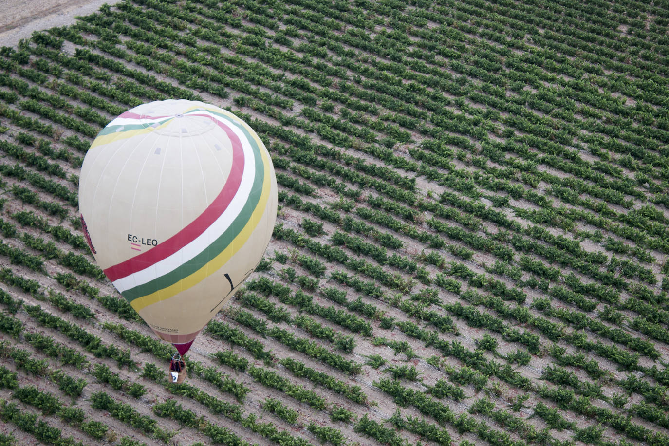 XXIII Regata internacional de globos aerostáticos &#039;Haro Capital del Rioja&#039;