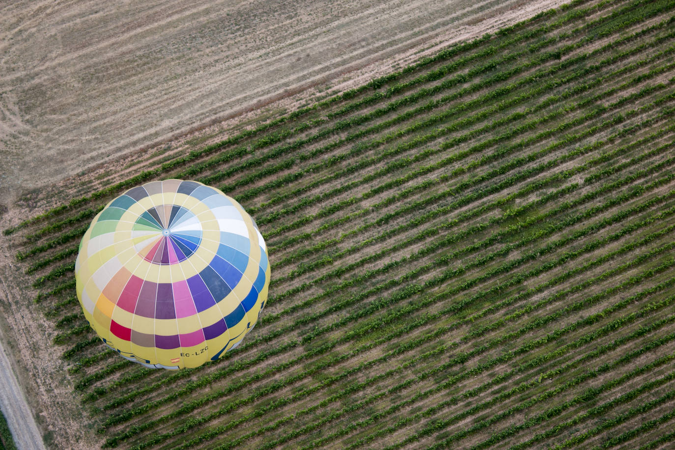 XXIII Regata internacional de globos aerostáticos &#039;Haro Capital del Rioja&#039;