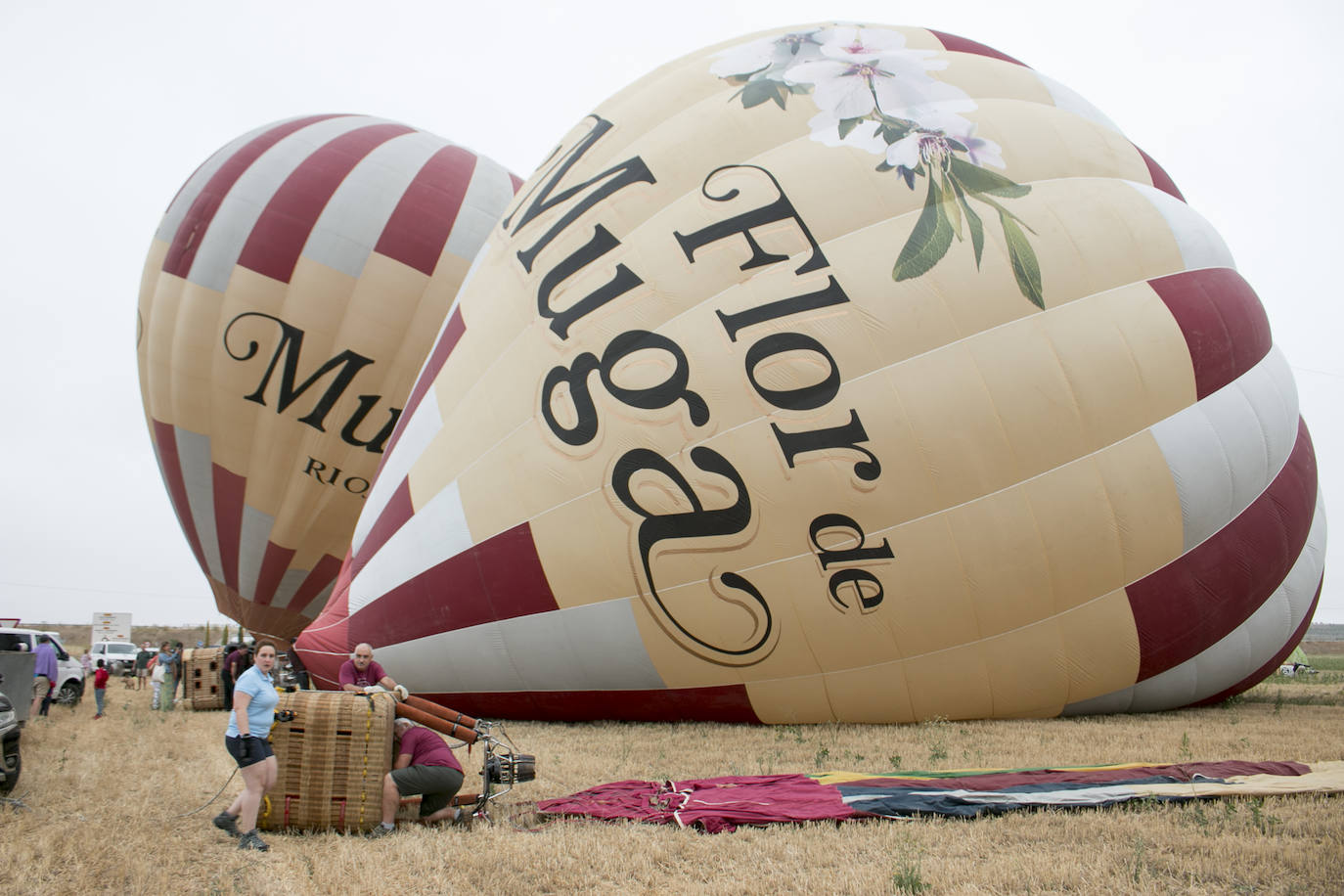 XXIII Regata internacional de globos aerostáticos &#039;Haro Capital del Rioja&#039;