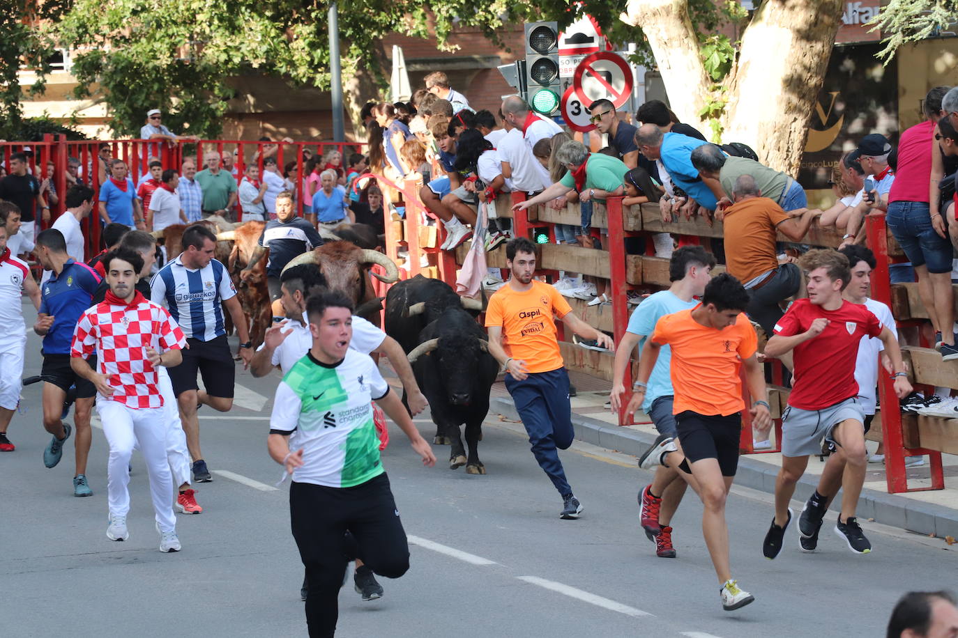 Los mayores protagonizan la fiesta en Alfaro