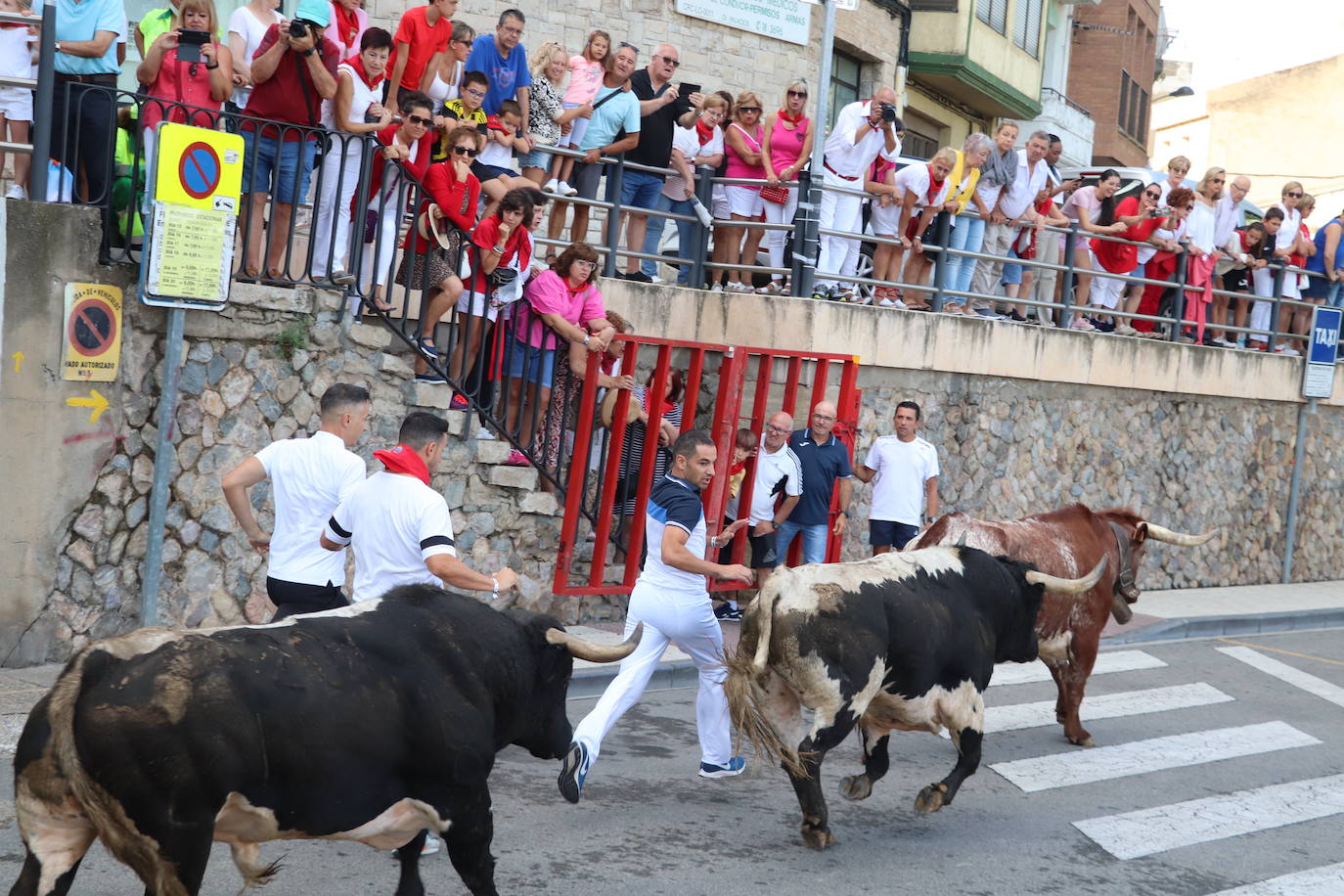 Los mayores protagonizan la fiesta en Alfaro