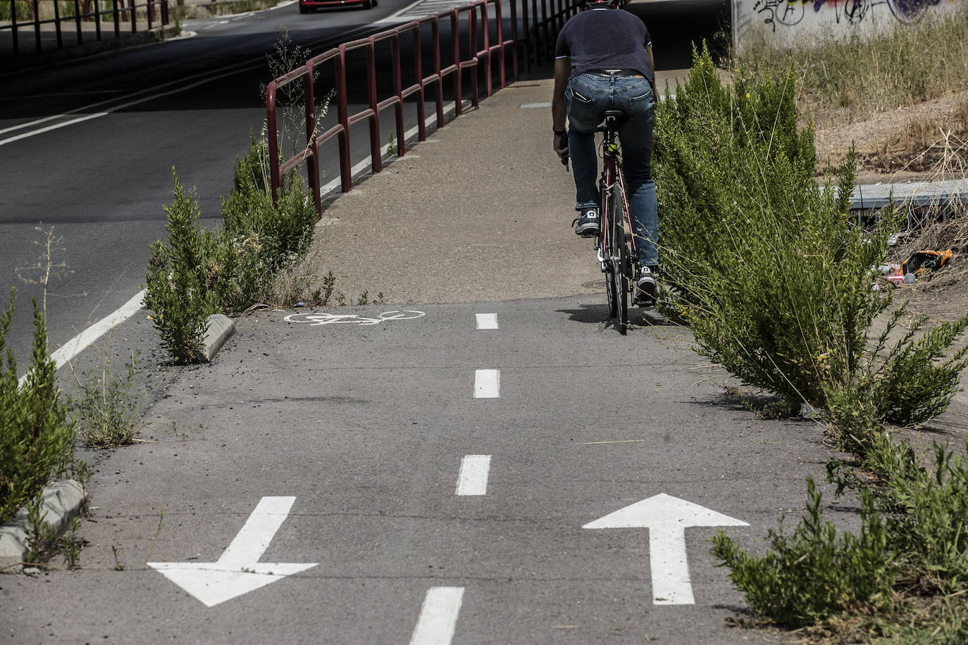 El carril bici del vial entre La Estrella y Los Lirios está lleno de piedras y vegetación.