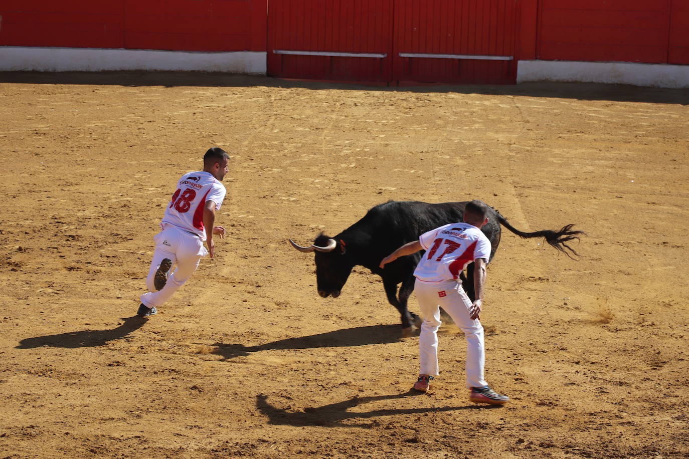 Penúltimo día de fiestas de Alfaro