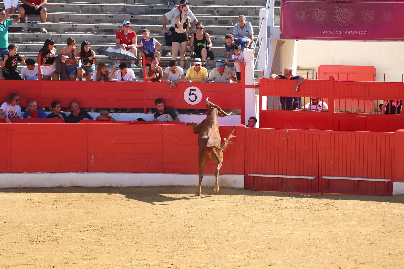 Penúltimo día de fiestas de Alfaro