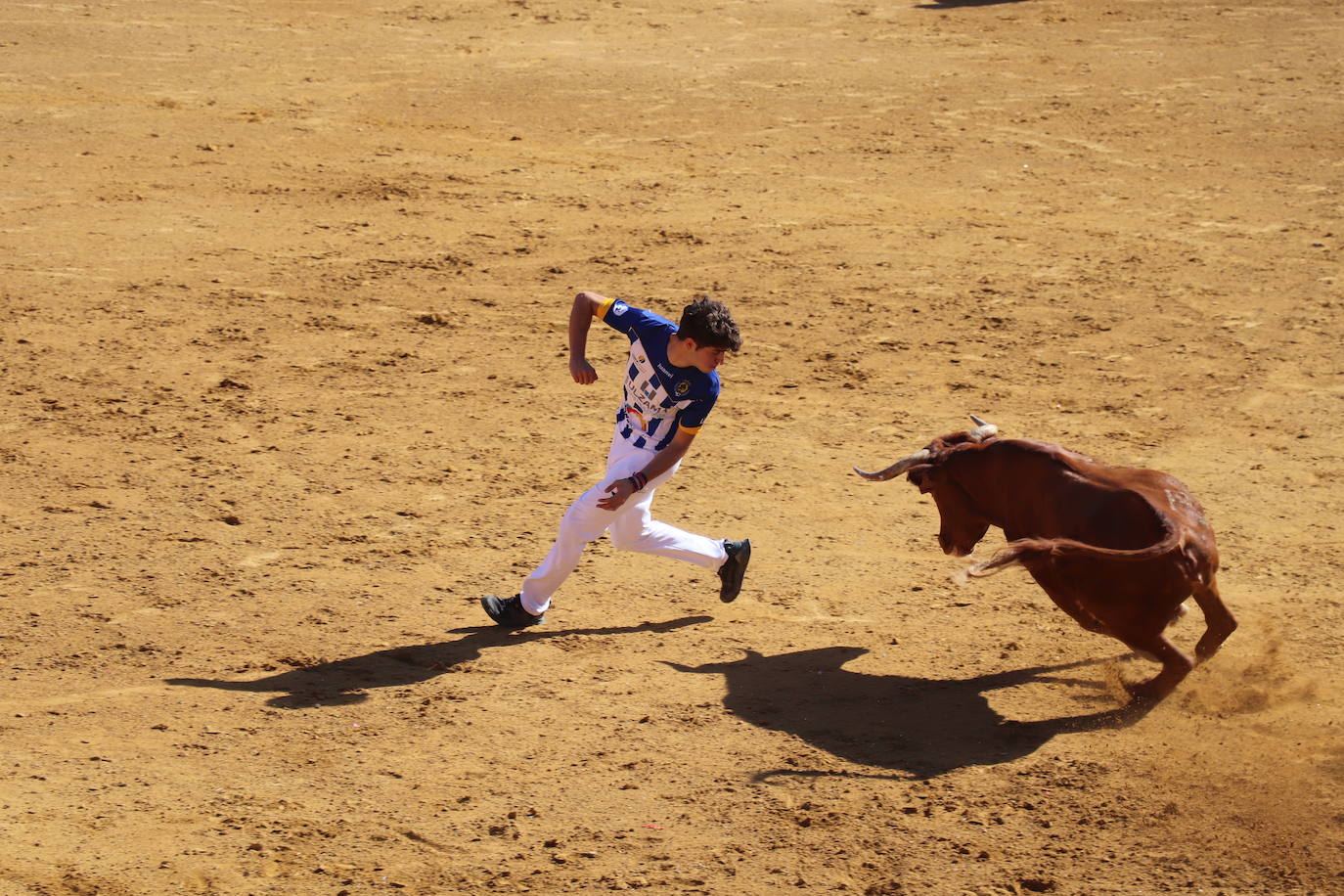 Penúltimo día de fiestas de Alfaro