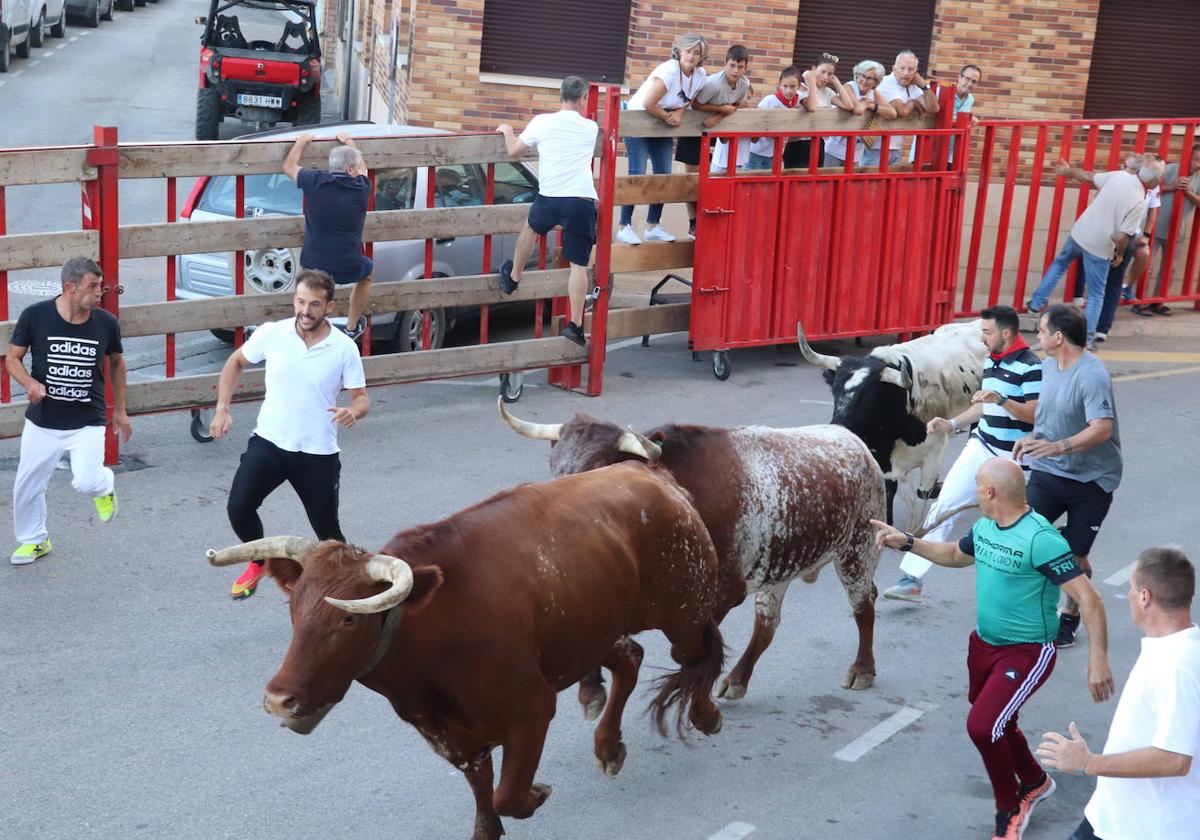 Penúltimo día de fiestas de Alfaro